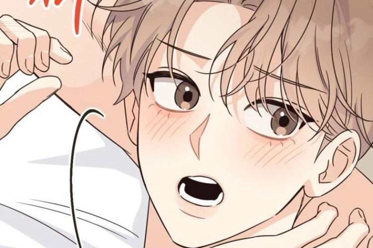 BL Manhwa ALPHA TRAUMA Capitolo 49 ITA Scan, Mi hanno proprio sbarrato la strada!